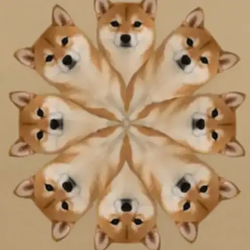 SRI