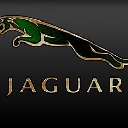 JAGUAR / SOL