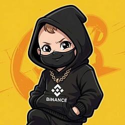 我看你脑子有b / BNB