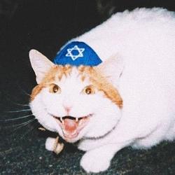 Goycorp