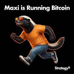 MAXI / MSTRx