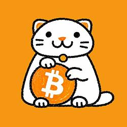 Neko