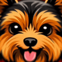 YORKIE / SOL