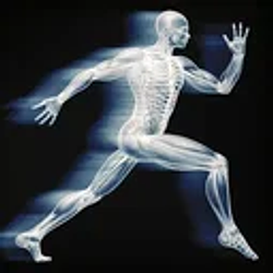 human