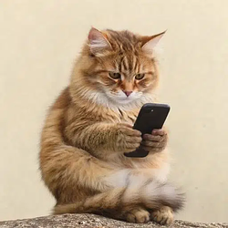 fone