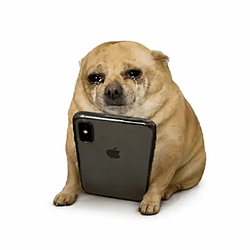 CRYINGDOG / SOL