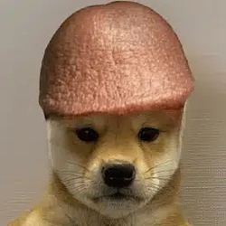 DICKINU / SOL