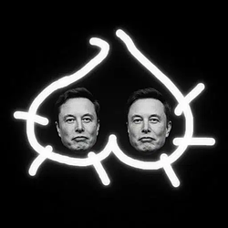 short elon / SOL