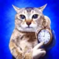 Timecat