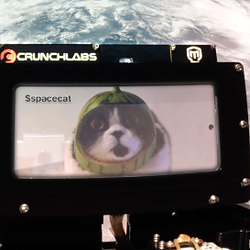 spacecat / SOL