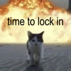 LOCKIN CAT