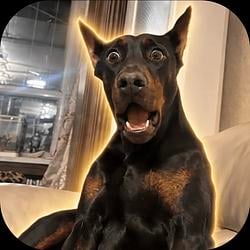 WHINYDOB