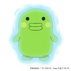 Kuchipatchi