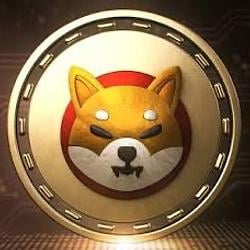 Fox Inu