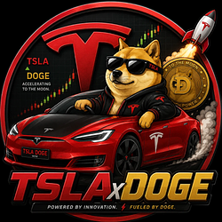 TSLADOGE / WETH 0.25%