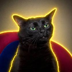 Zonedcat
