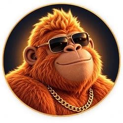 PUNKYKONGZ