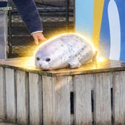 mochimochi