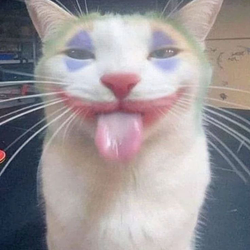 catardio / SOL