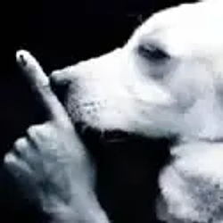 Shh