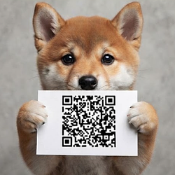 QR INU