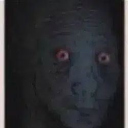 DOOMJAK / SOL