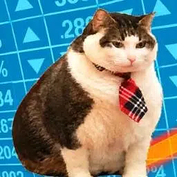 CHONKS