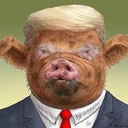 POTUS / SOL
