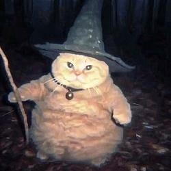 WIZCAT