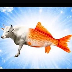 BULLISH