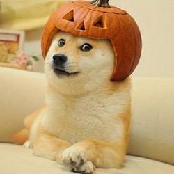 DOGOWEEN