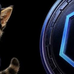 RayCatSol