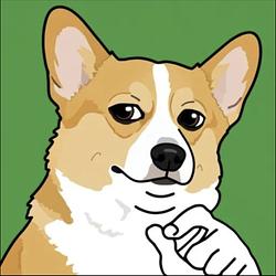 my dog