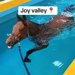 VALLEY / SOL