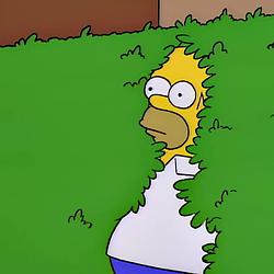 HOMER