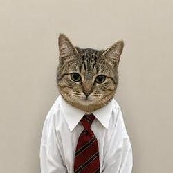 wstCAT / BNB