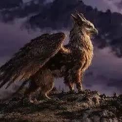 Griffin