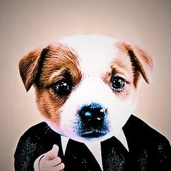 business