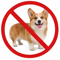 CORGICAPIT