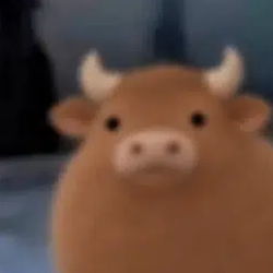 bul