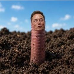 WORMS / BNB