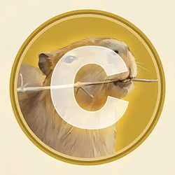 CAPY