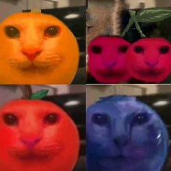 FRUITCATS