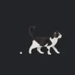 .meow