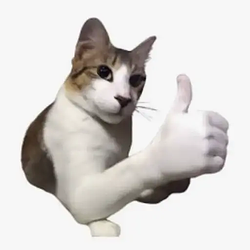 meme / SOL