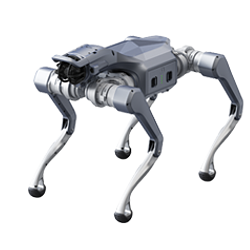 ROBOT DOG / SOL