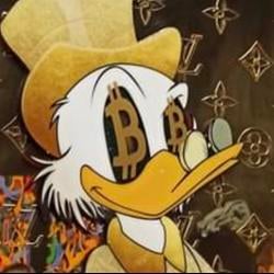 Duck / SOL