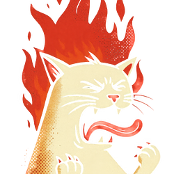 CATONFIRE