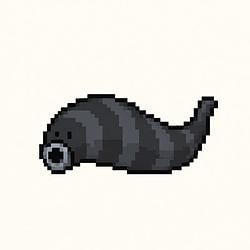 LEECH