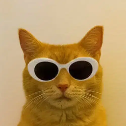 clout / SOL